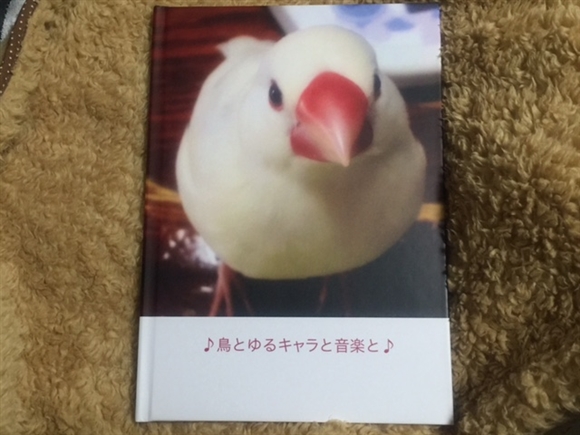 �}�C�u�b�N���C�t�@�V�[���X�^���h